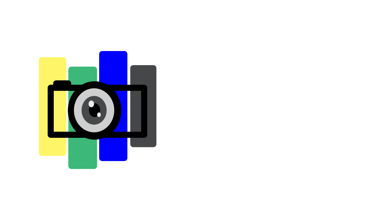 NSPhotography_Logo_Color